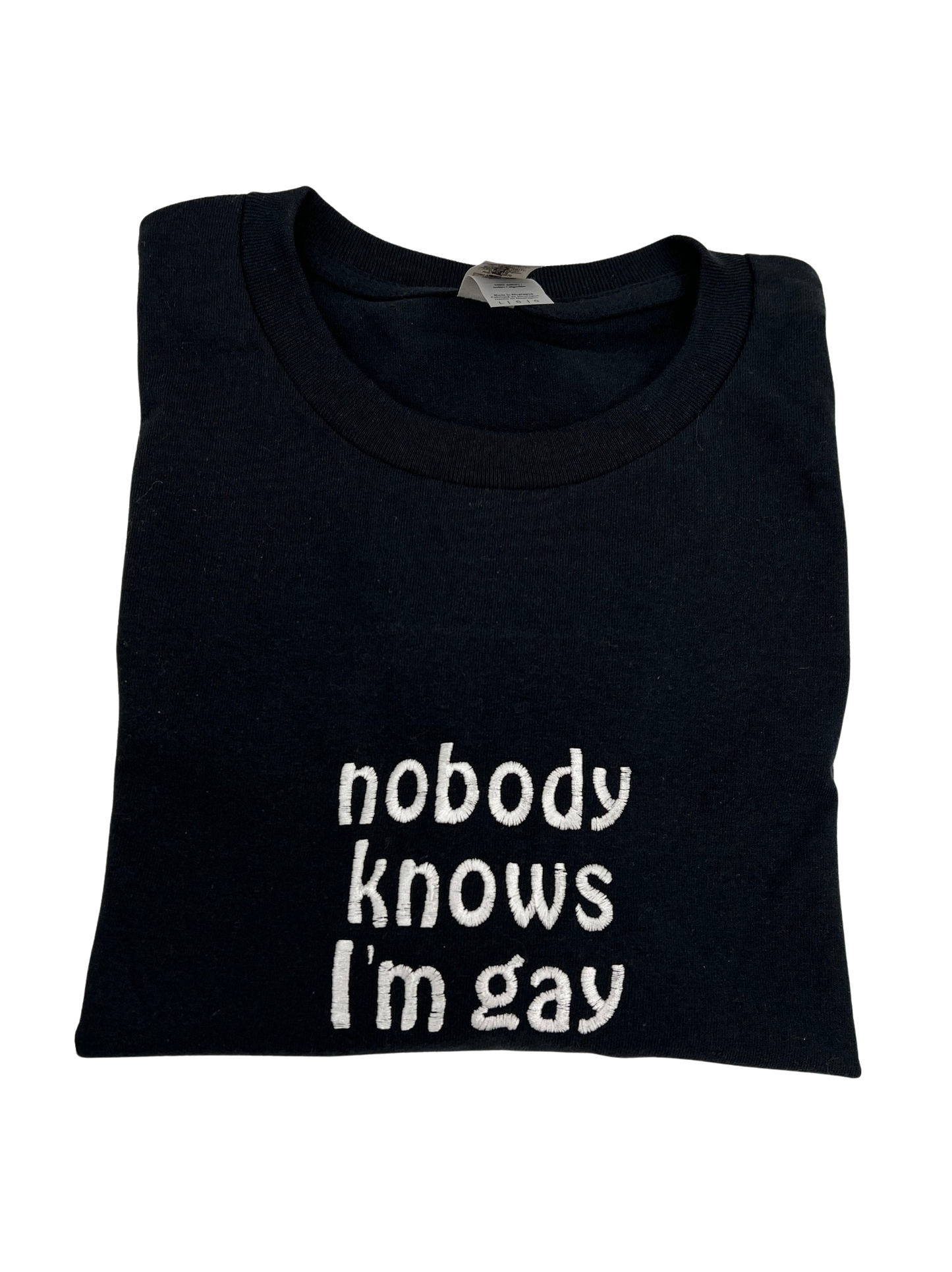 Nobody Knows I'm Gay Unisex Embroidered T-Shirt or Crewneck Sweatshirt