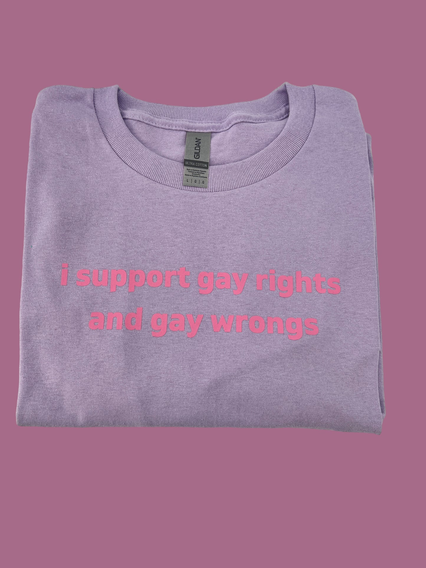 I Support Gay Rights and Gay Wrongs Unisex T-Shirt or Crewneck  Sweatshirt