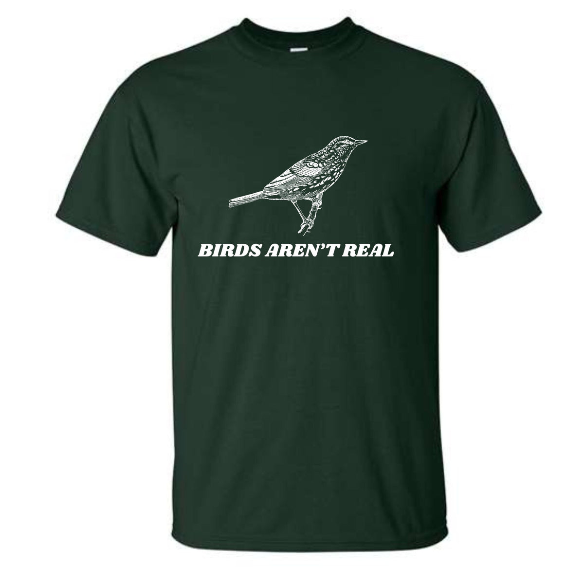 Birds Aren't Real T-Shirt or Crewneck  Sweatshirt