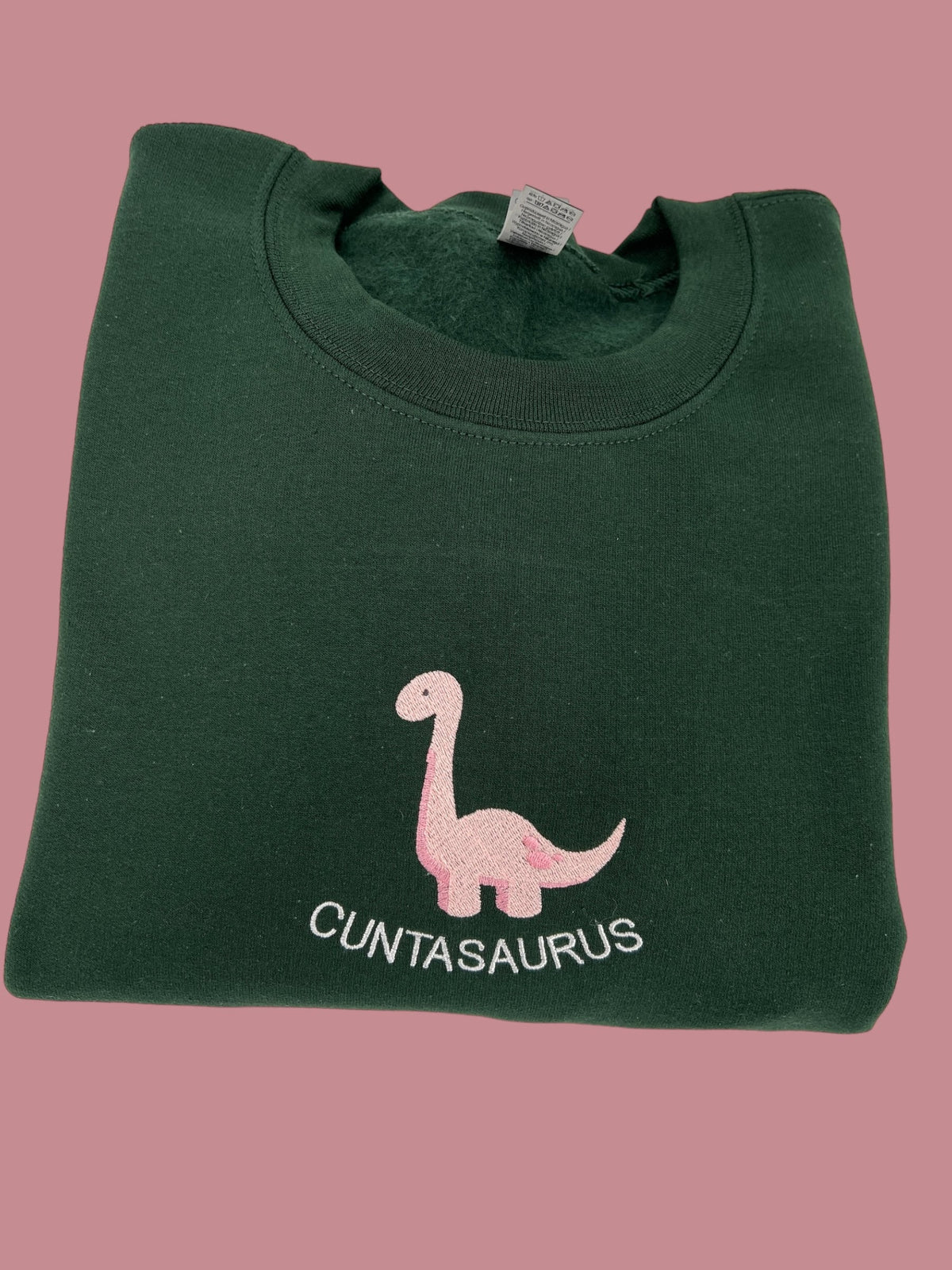 a green t - shirt with a pink dinosaur on it